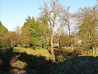 <span class="mw-page-title-main">English Bicknor Castle</span>