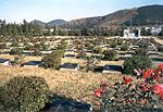 Miniatura para Cementerio conmemorativo de Naciones Unidas