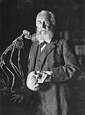 Ernst Haeckel (1906)