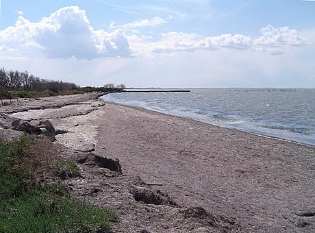 Camargue