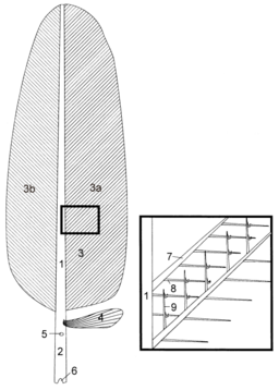 Feather scheme