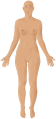 Female front 3d-shaded human illustration