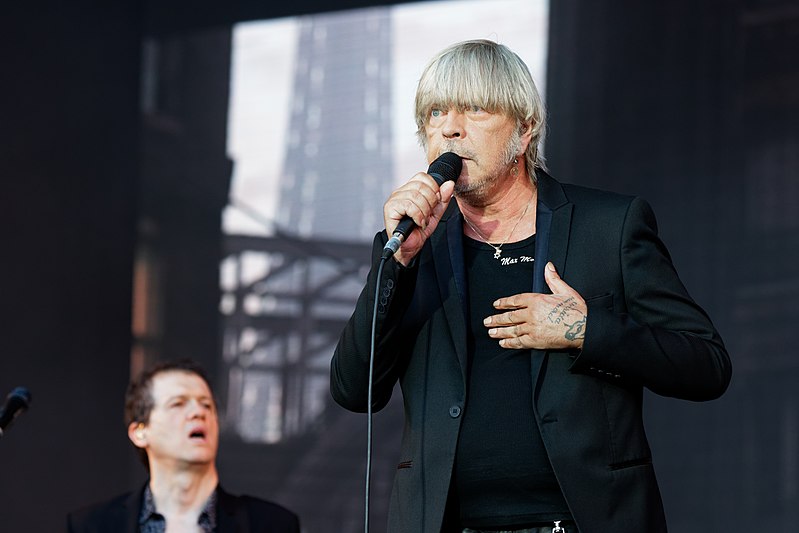 File:Festival des Vieilles Charrues 2017 - Renaud - 010.jpg