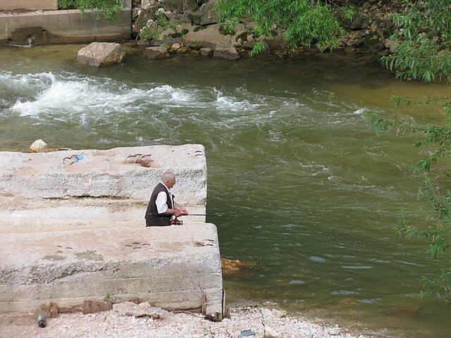 Fishing on Dariva (Miljacka Canyon between Bentbaša and Goat's Bridge)