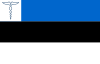 Flagge des estnischen Zolls