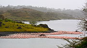 Thumbnail for Arusha National Park