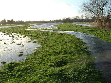 Flooded derelict bedwork water-meadow at Fordingbridge, Hampshire, England. Winter flooding has filled an old carrier channel along the crest of a ridge (running from right foreground to middle distance), and has also flooded the drainage channels (on left and into distance, where they join the river). In use, water would have seeped from the carrier channel on the right, through the grass in the foreground into the drainage channel on the left, which would have looked almost empty. Flooded water-meadow.jpg