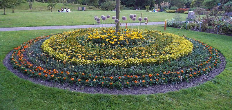 File:Flowers in a circle, Botanical Garden, Lund.jpg