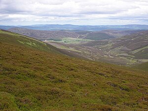 Looking north from Tampie hill over the Forest of Birse towards Birse castle and Ballochan Forest of Birse1.jpg