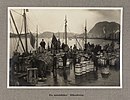 «Fra storsildfisket: Sildesalting», Ålesund 1920. Foto: Sigvald Moa/Nasjonalbiblioteket