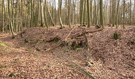 Franzosenschanze Münden Gesamt