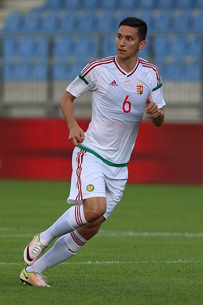 File:Friendly match Austria U-21 vs. Hungary U-21 2017-06-12 (147).jpg