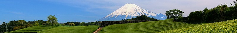 File:Fuji tea fields Wikivoyage banner.jpg