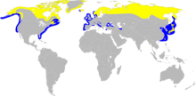 Os mergulhões-de-garganta-vermelha se reproduzem nas regiões do norte da América do Norte e da Eurásia.