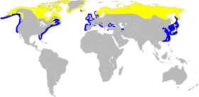 Gavia stellata map.png