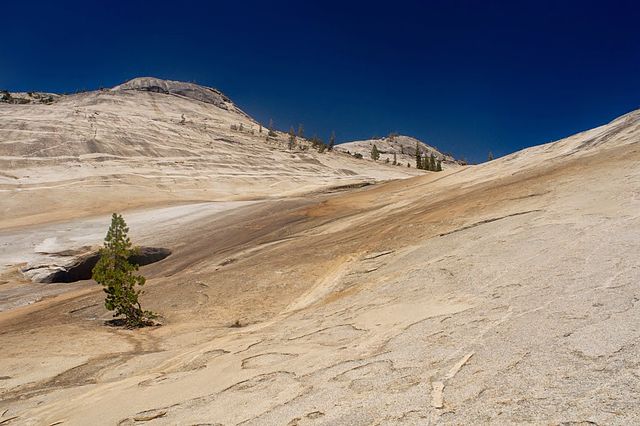 File:Glacially_polished_granite.jpg