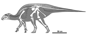 Thumbnail for Hadrosauromorpha