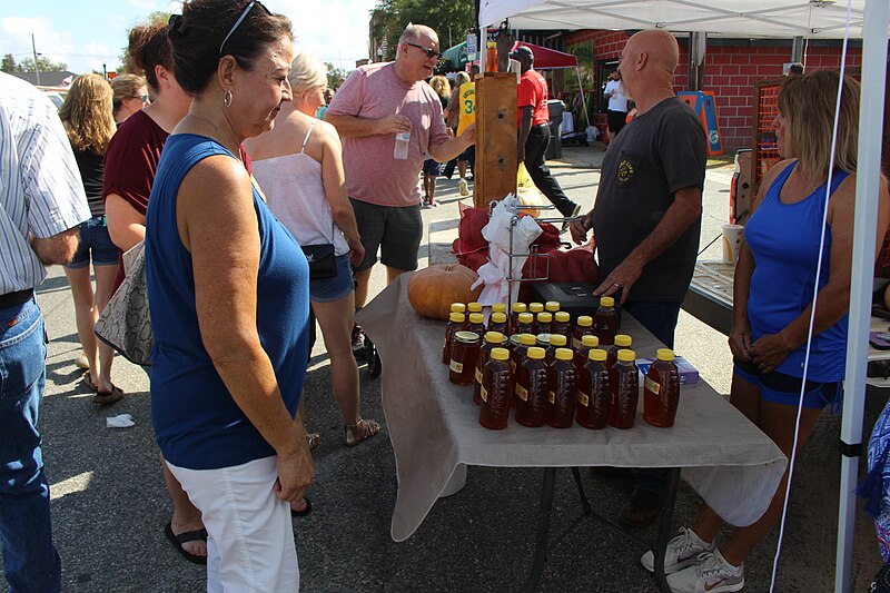 File:Hahira Honeybee Festival 2019 07.jpg