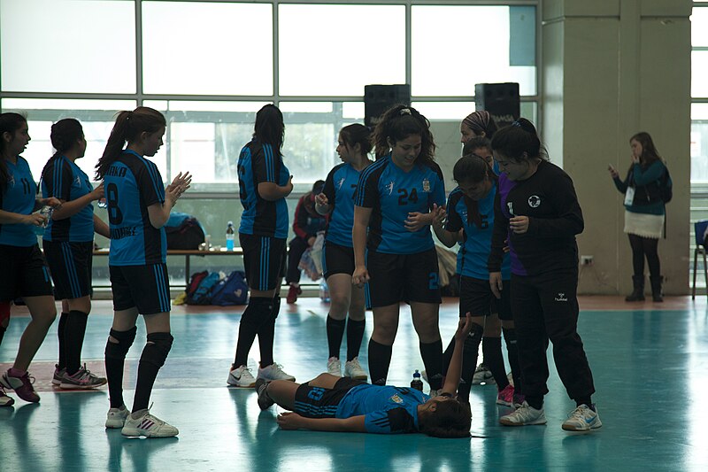 File:Handball Mujeres (10162348664).jpg