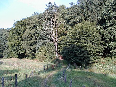 Hengstener Bachtal