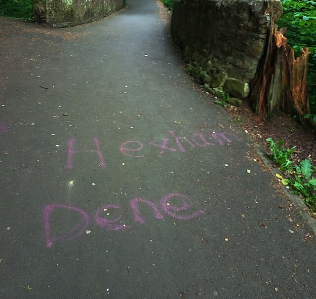 Magenta graffiti on a path saying "Hexham Dene"