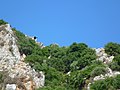 Holidays - Crete - panoramio (7).jpg
