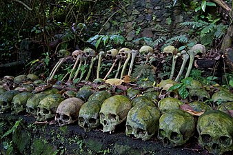 Human skulls, Trunyan, Lake Batur, Bali.jpg