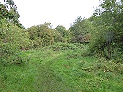 Humberstone Park LNR 6.jpg