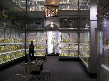 Hunterian Collection