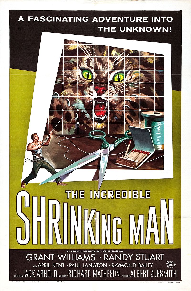 The Incredible Shrinking Man - Wikipedia