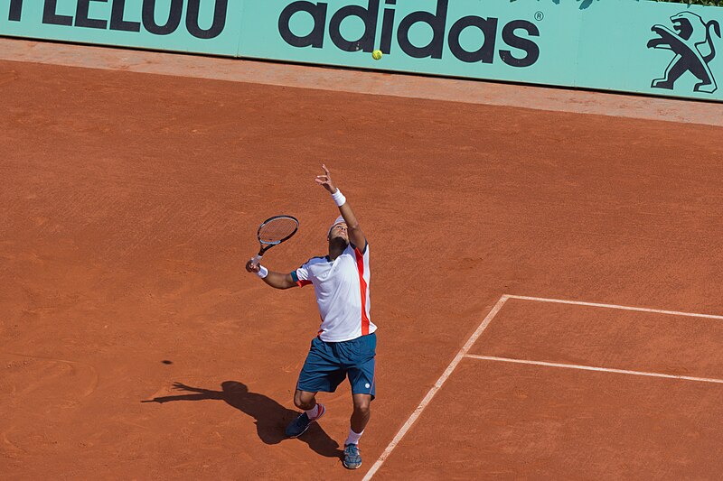 File:J-W Tsonga - Roland-Garros 2012-J.W. Tsonga-IMG 3572.jpg