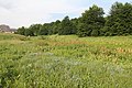 Stara planina - Jabučko ravnište