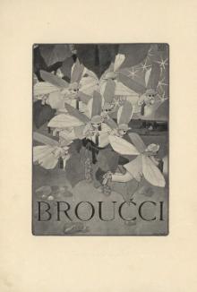Jan Karafiát - Broučci - 1902.djvu
