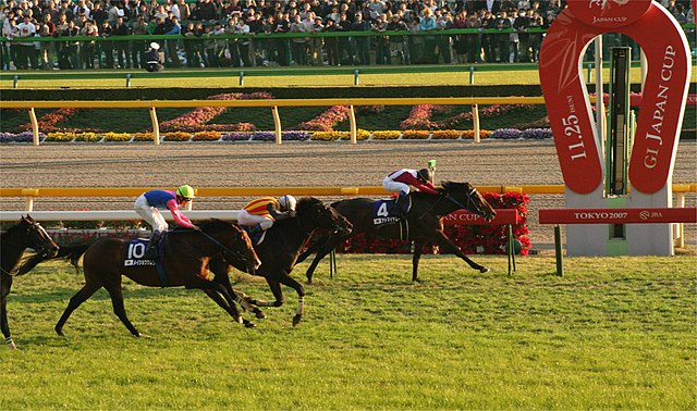 ジャパンカップ (Japan Kappu) Japan's most prestigious horse race