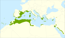 Juniperus phoenicea range.svg