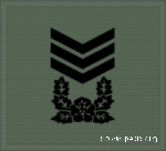 KA insignia (cloth) Master Sergeant.gif