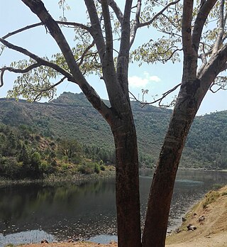 <span class="mw-page-title-main">Kamal lake</span> Natural lake in Nepal