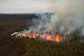 Eruzione lineare da una fenditura del vulcano a scudo Kilauea (Hawaii).