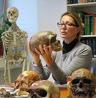 <span class="mw-page-title-main">Katerina Harvati</span> Greek paleoanthropologist