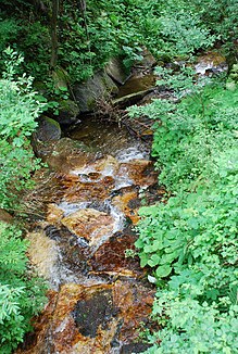 The Klosterbach has exposed a small quartz vein in the middle course