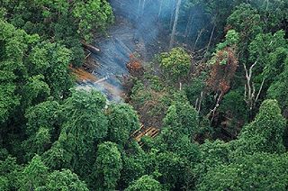 Cardamom Mountains mountain chain in Cambodia