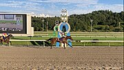 サンライズジパングが盛岡競馬場で快勝！不来方賞を制す！！