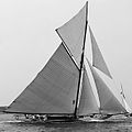L-1900-Mineola-II.jpg
