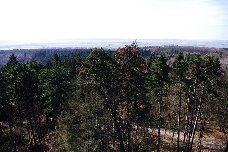 File:LSG SZ 0008 Waldgürtel zwischen SZ-Osterlinde und SZ-Bad - Blick nach Westen vom Bismarckturm.jpg