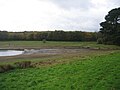 Le lac du Drennec en basses eaux 5