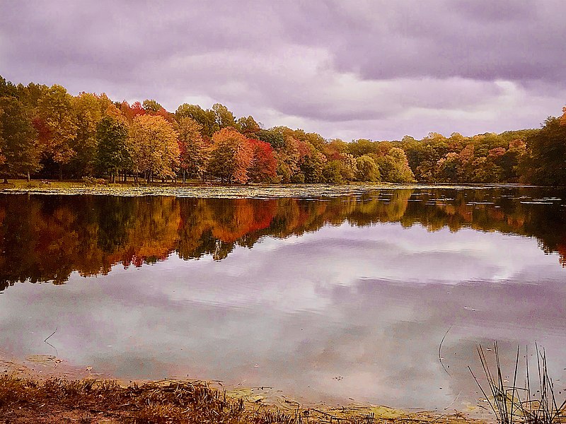 File:Lake Topanemus during autumn.jpg