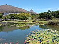 Lake in Green Point Park with Signal Hill and Lions Head in the background.jpg
