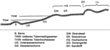 Diagram of a flat coast littoral series. Key: B: bar, TNW: average low tide, THW: average high tide, US: shoreface; GS: foreshore, SW: berm, SR: runnel, HS: backshore, DG: dune belt, SK: dune cliff Litorale Serie Flachkuste.png