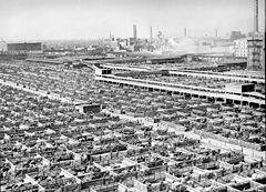 Image 54This 1941 photograph shows the maze of livestock pens and walkways at the Union Stock Yards, Chicago. Image credit: John Vachon, Farm Security Administration (photographer), Darwinek (digital retouching) (from Portal:Illinois/Selected picture)
