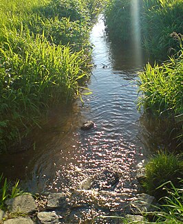 Lohbach near Großschwarzenlohe